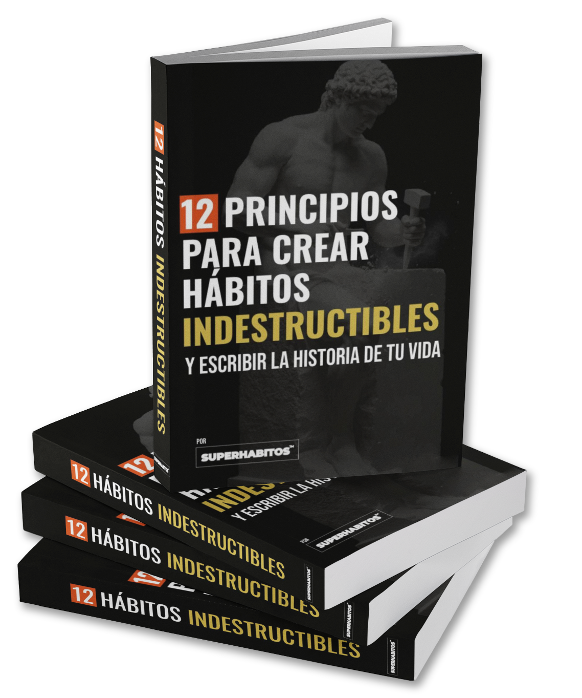 ebook 12 habitos indestructibles